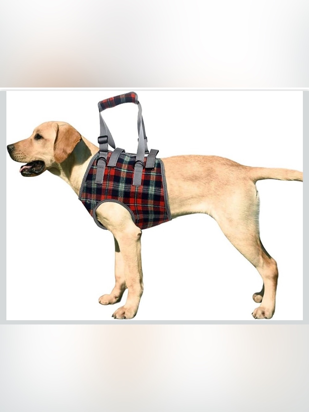 ROZKITCH Dog Lift Harness, Grid Pet Chest Support Aid Small. 2562/bb14-1
